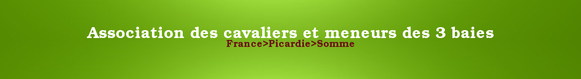 Association des cavaliers et meneurs des 3 baies